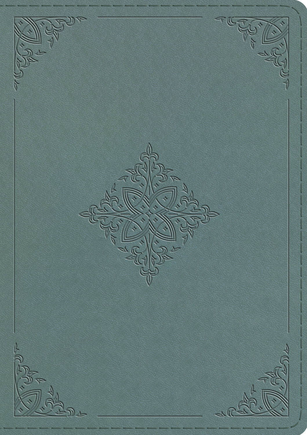 ESV Chronological Bible, Paris Sky, Fleur-de-lis Design