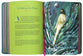 The Biggest Story Bible Storybook