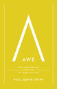 Awe: Why It Matters for Everything We Think, Say, and Do