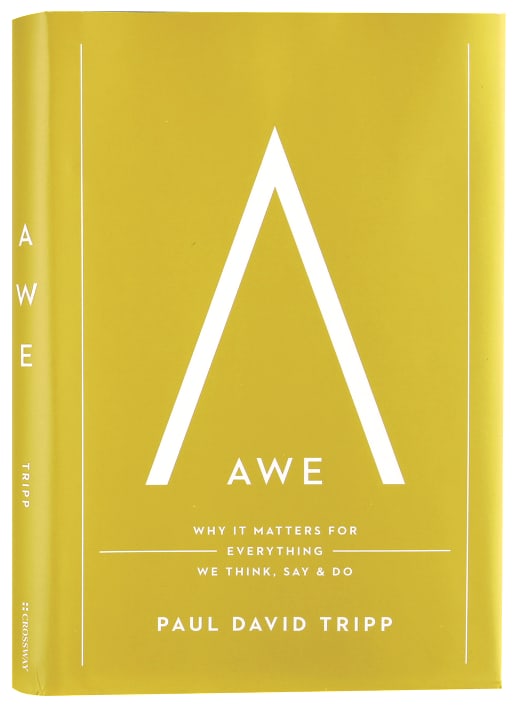 Awe: Why It Matters for Everything We Think, Say, and Do