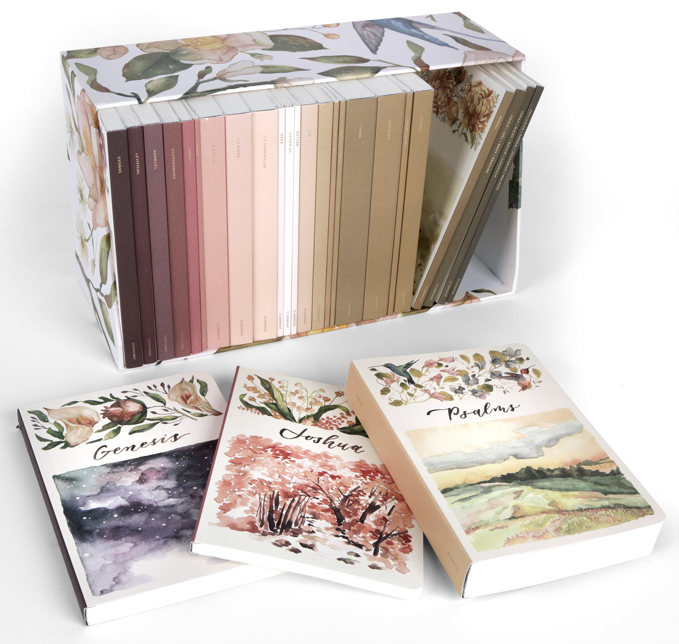 ESV Scripture Journal: Old Testament (Set of 27)