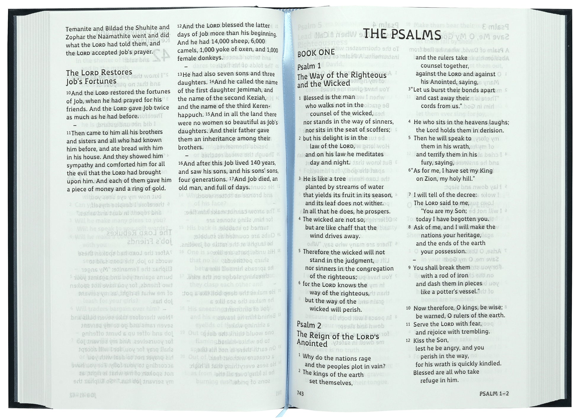 ESV Holy Bible: Dyslexia-Friendly Edition
