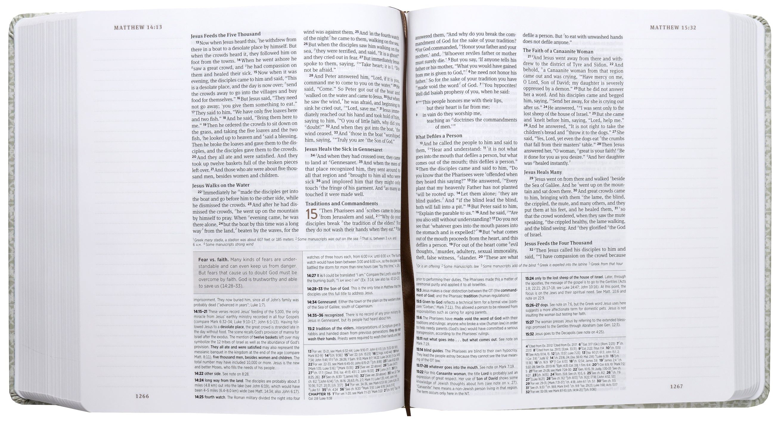 ESV Journaling Study Bible, Artist Series by Lulie Wallace, Isa