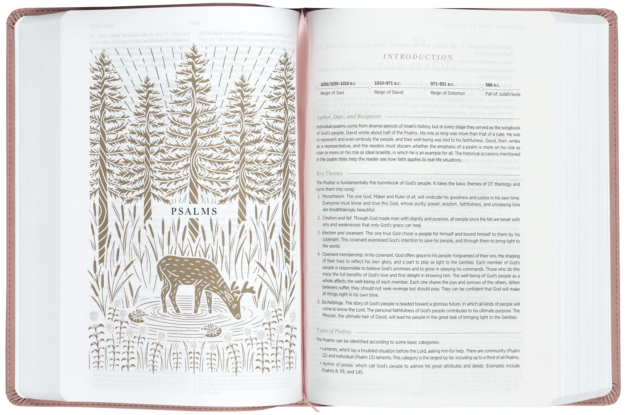 ESV Women's Study Bible, Blush Rose, Floral Bloom Design