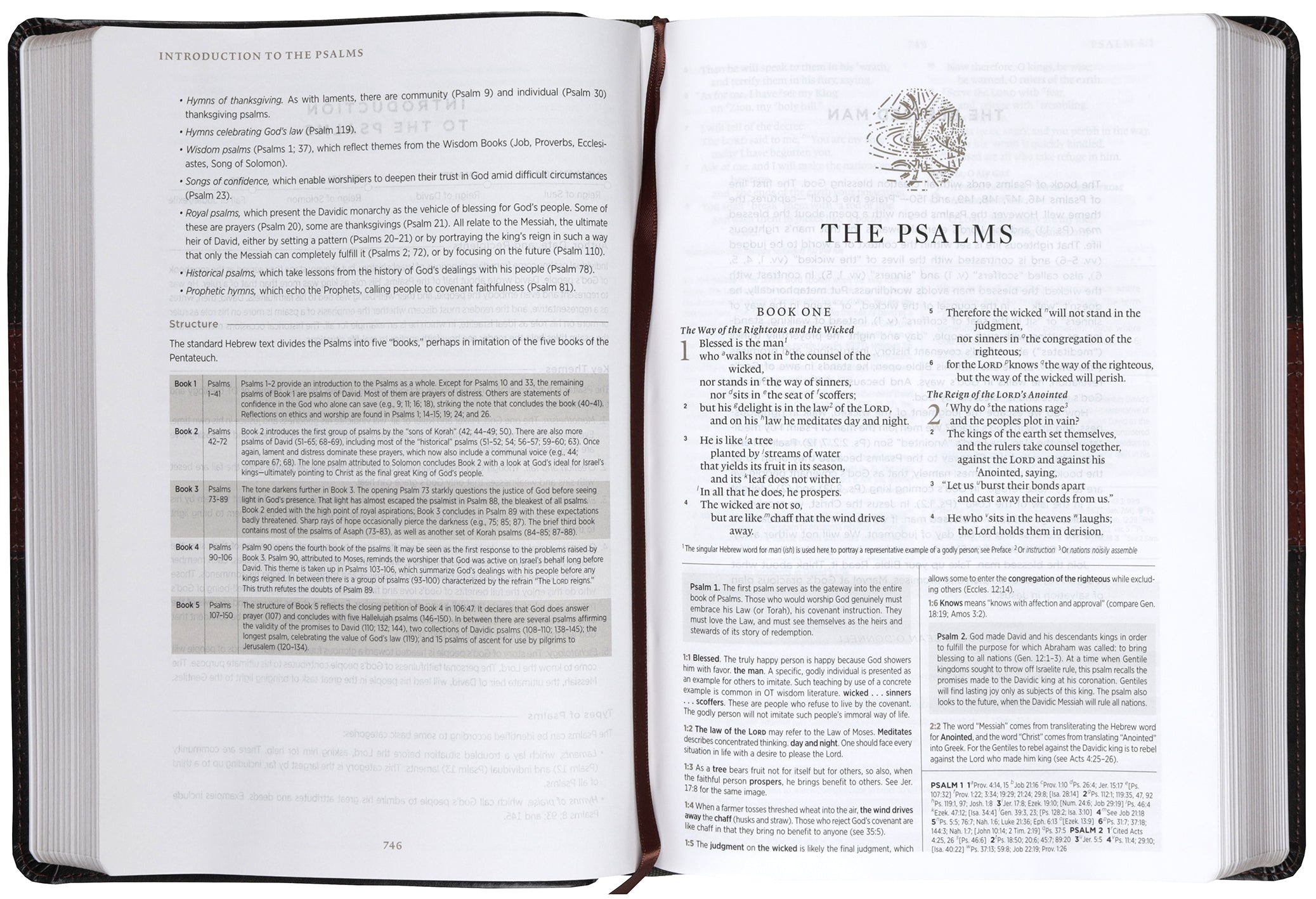 ESV Men's Study Bible, Forest/Tan, Trail Design