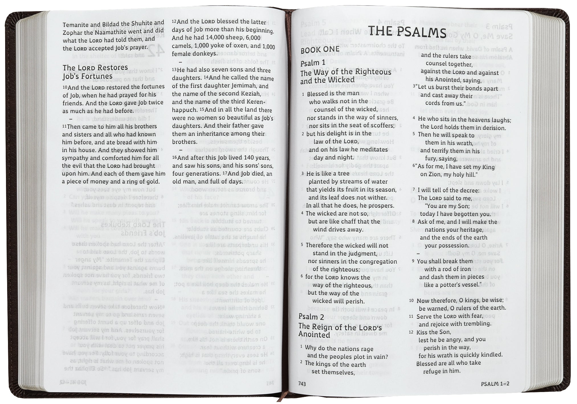 ESV Holy Bible: Dyslexia-Friendly Edition, Brown