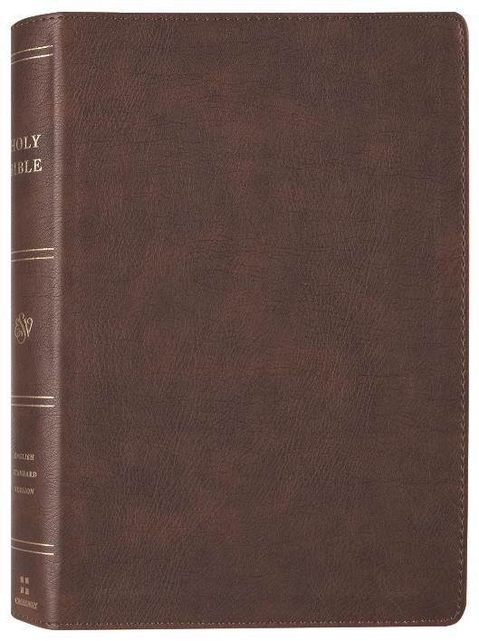 ESV Holy Bible: Dyslexia-Friendly Edition, Brown