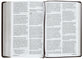 ESV Holy Bible: Dyslexia-Friendly Edition, Brown