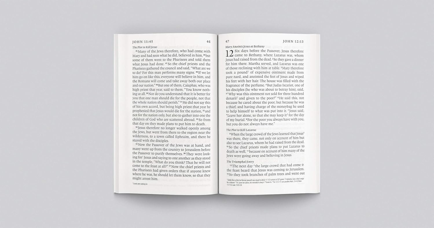 ESV Gospel of John (2nd Edition) Black