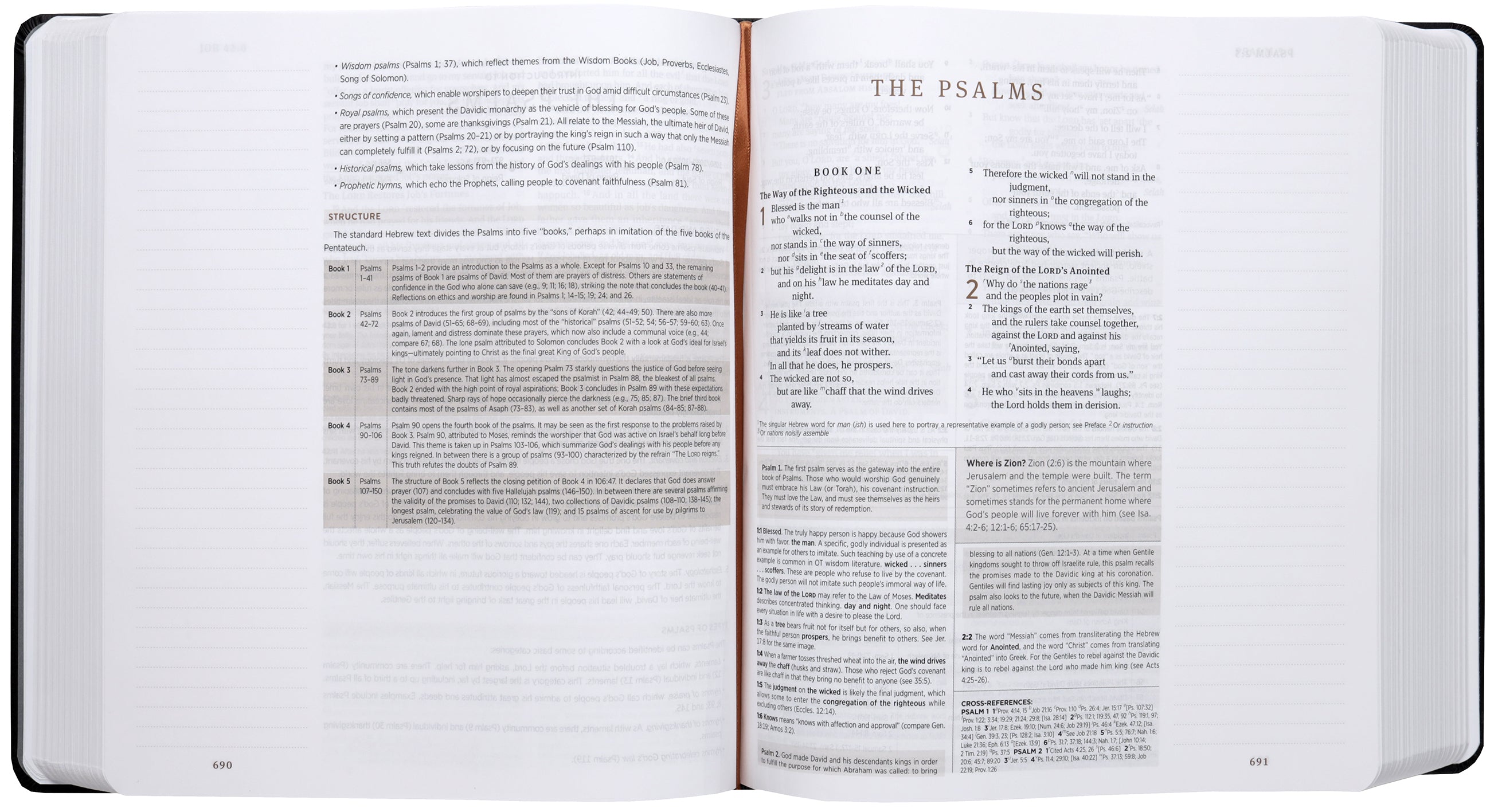 ESV Journaling Study Bible, Artist Series by Joshua Noom, The Lion and the Lamb