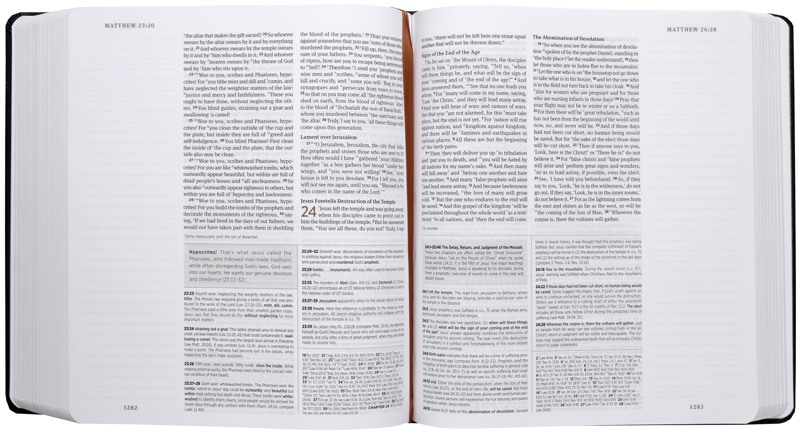 ESV Journaling Study Bible, Artist Series by Joshua Noom, The Lion and the Lamb