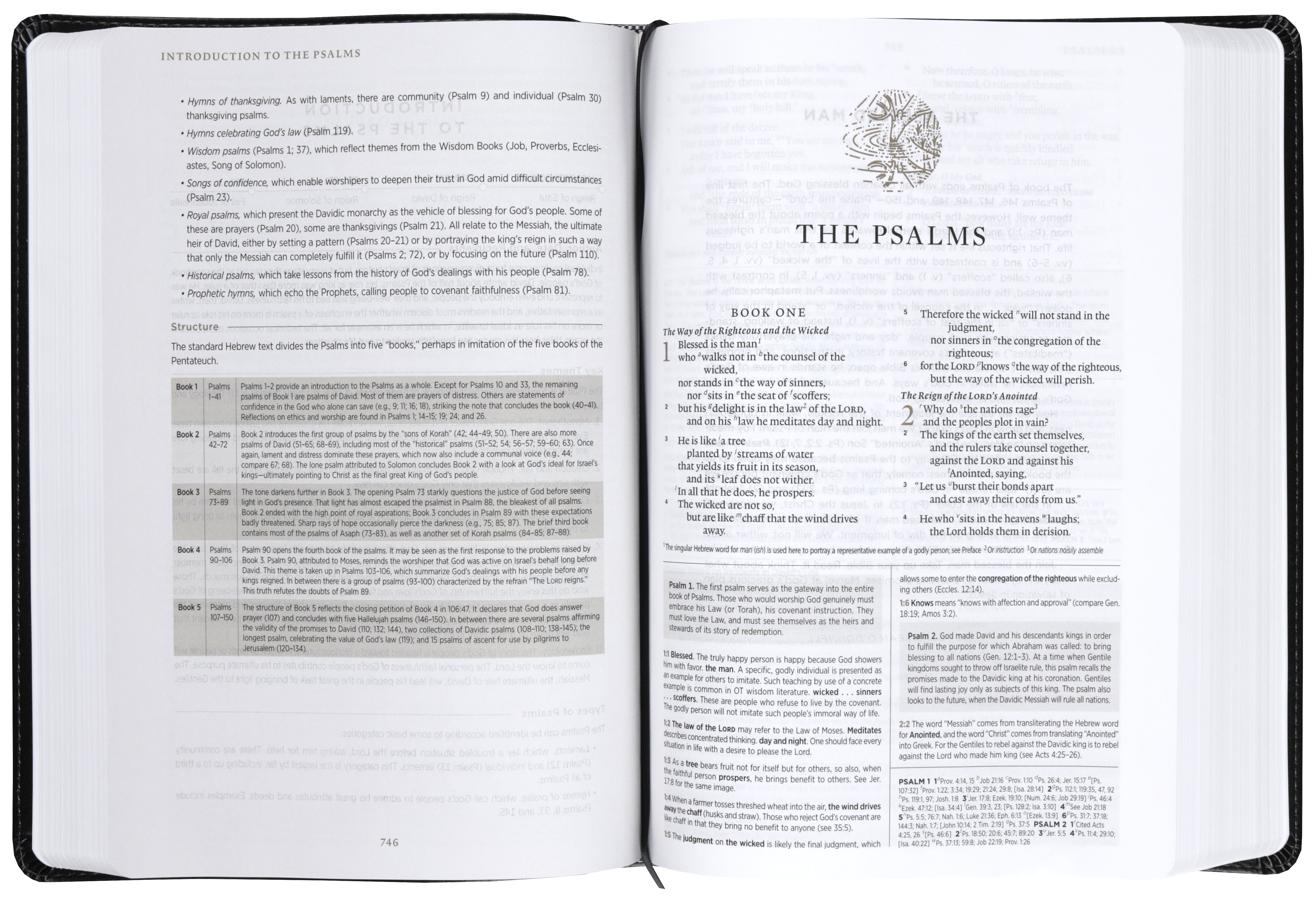 ESV Men's Study Bible, Charcoal, Shield Design