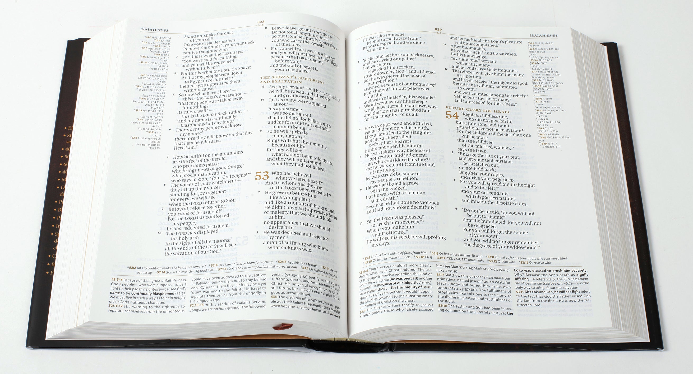 CSB Tony Evans Study Bible (Black Letter Edition)