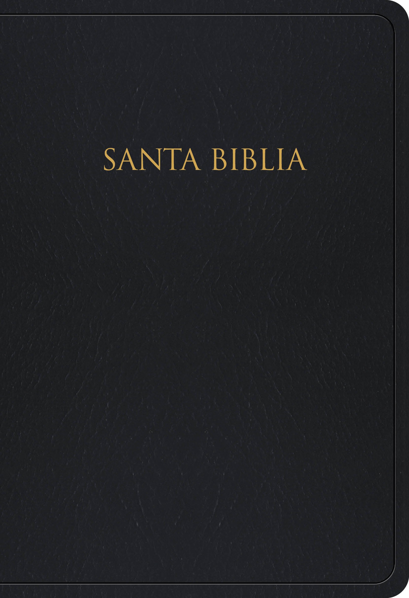 Rvr 1960 Biblia Para Regalos Y Premios, Negro (Black)