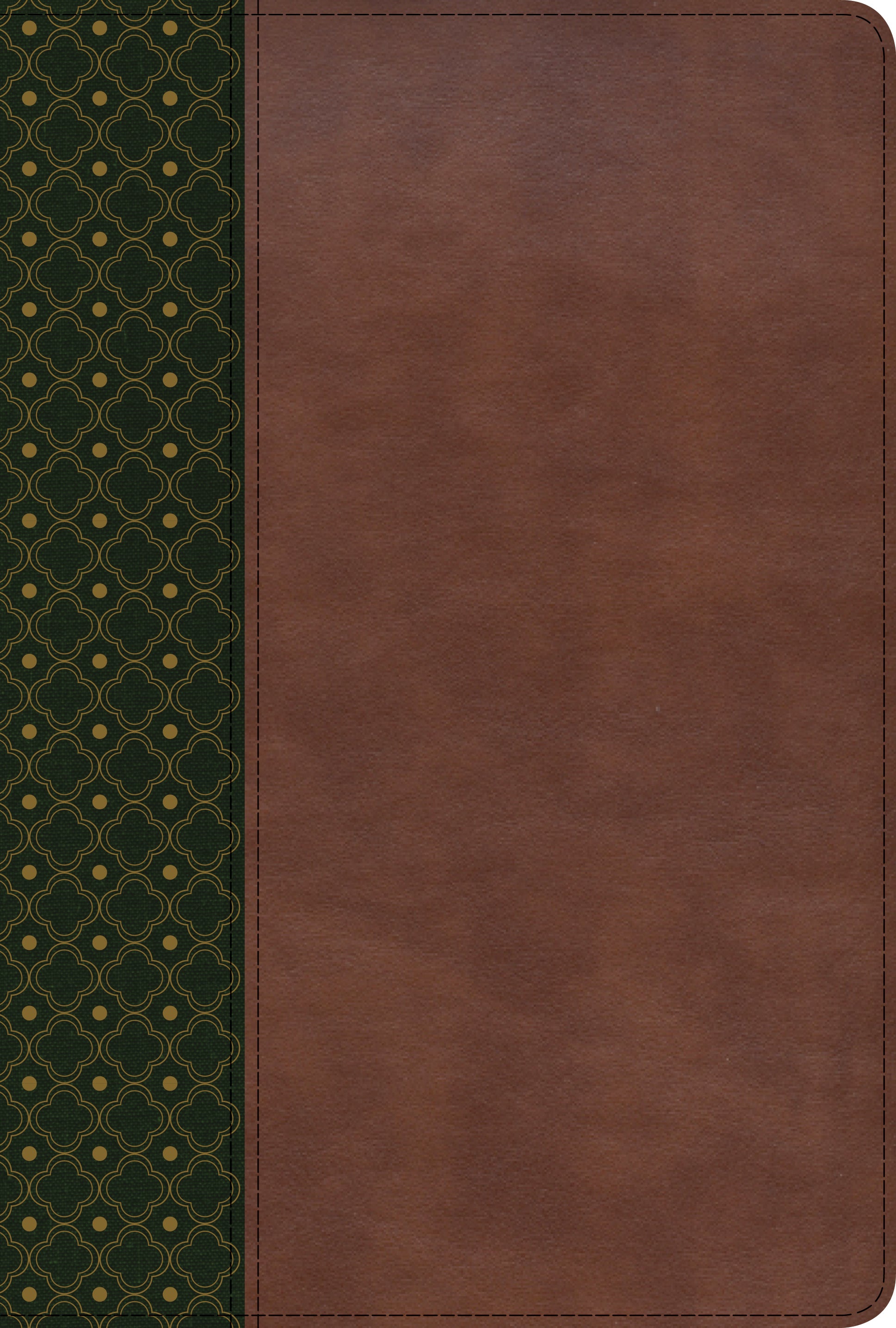 Rvr 1960 Biblia De Estudio Scofield, Verde Oscuro/Castao Smil Piel