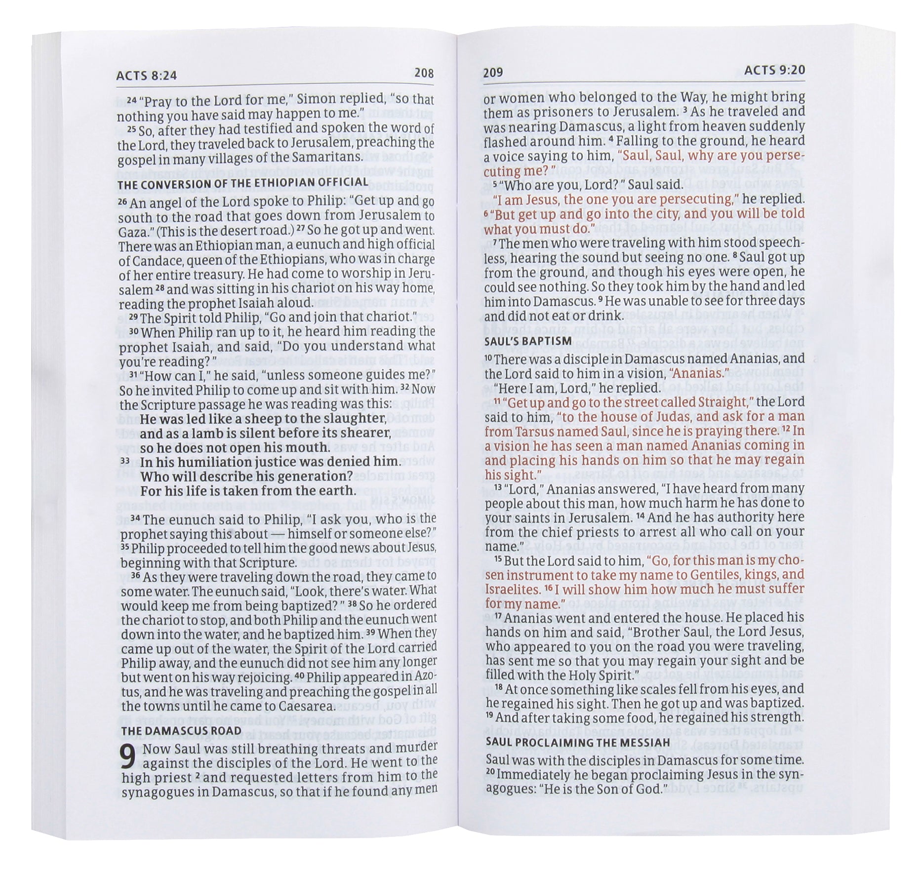 CSB Share Jesus Without Fear New Testament