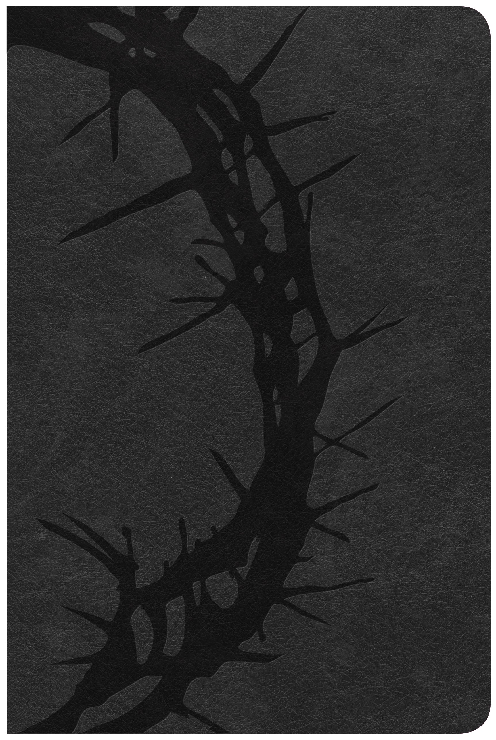 CSB Large Print Personal Size Reference Bible Charcoal Indexed Red Letter Edition