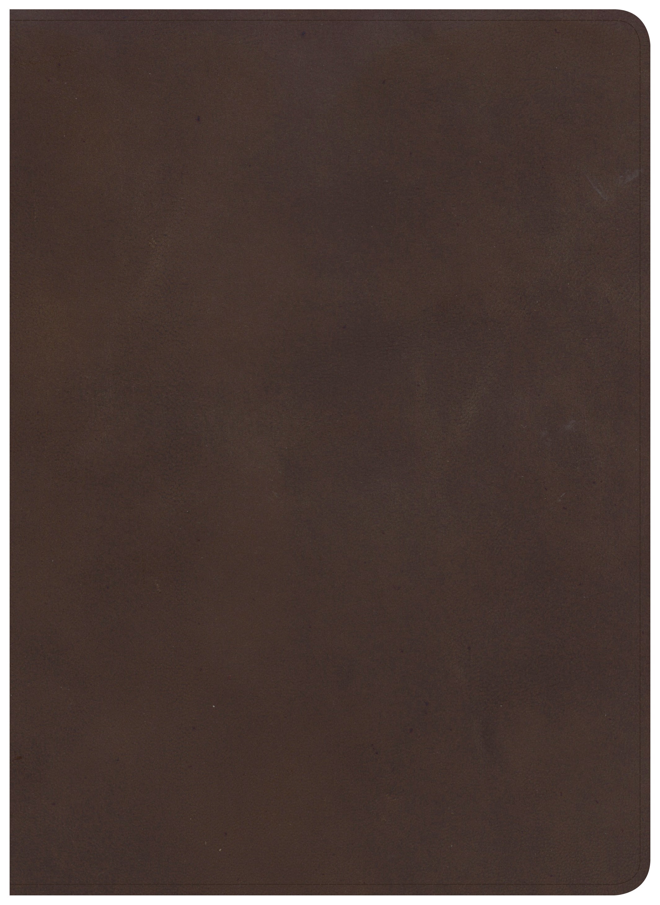 CSB Study Bible Brown Indexed
