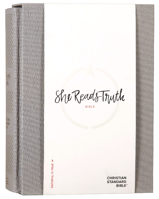 CSB She Reads Truth Bible Gray Linen
