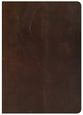 CSB She Reads Truth Bible Brown Indexed