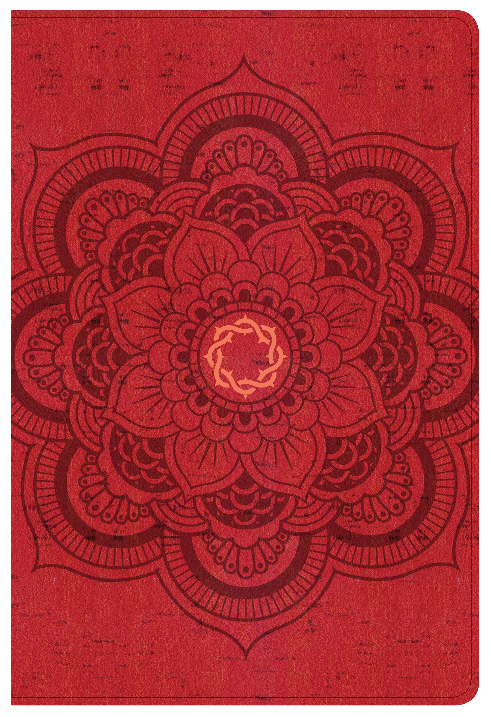CSB Essential Teen Study Bible Red Flower