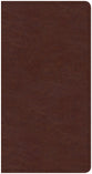 CSB Share Jesus Without Fear New Testament Brown
