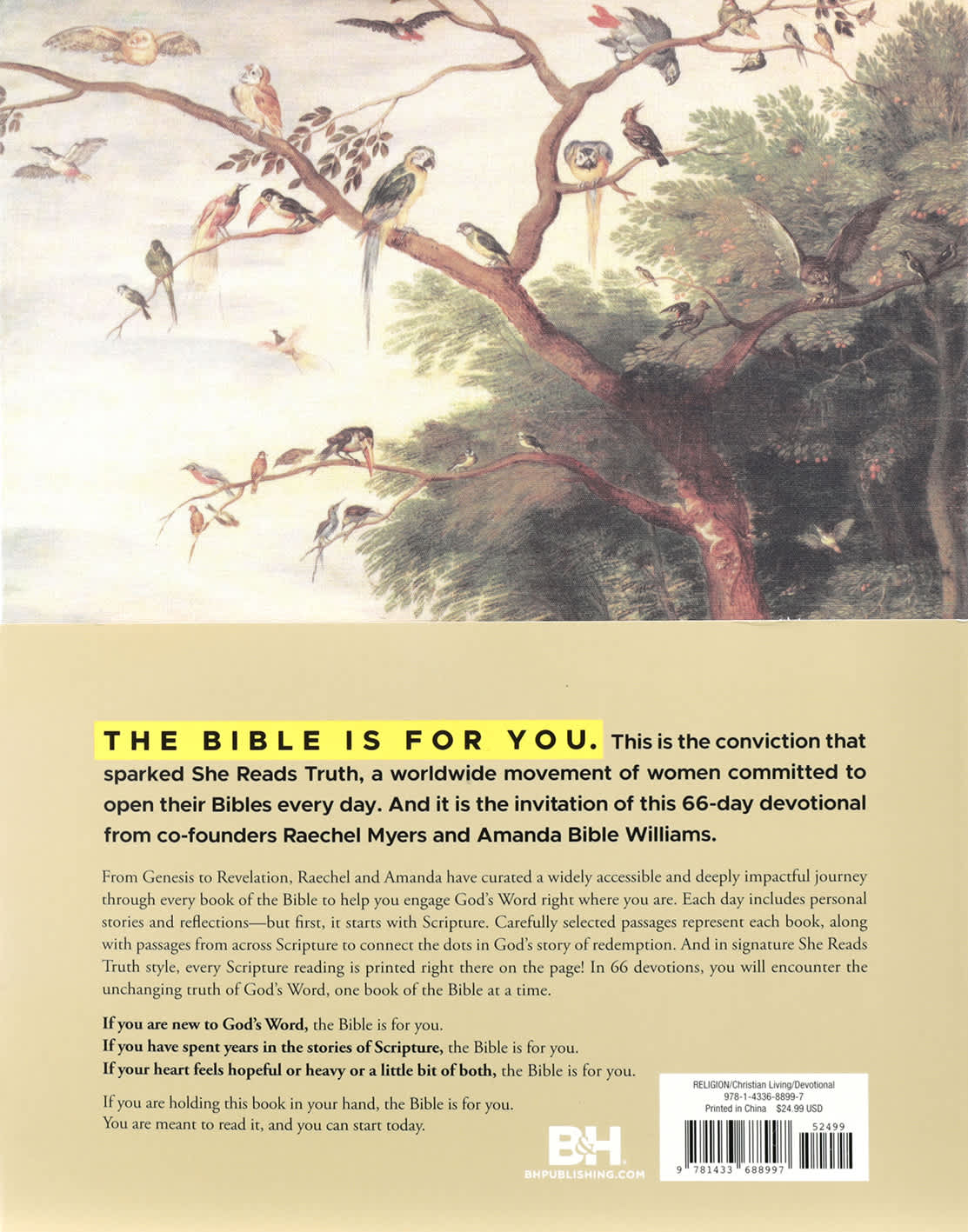 The Bible is for You a Devotional Journey Through Every Book of the Bible