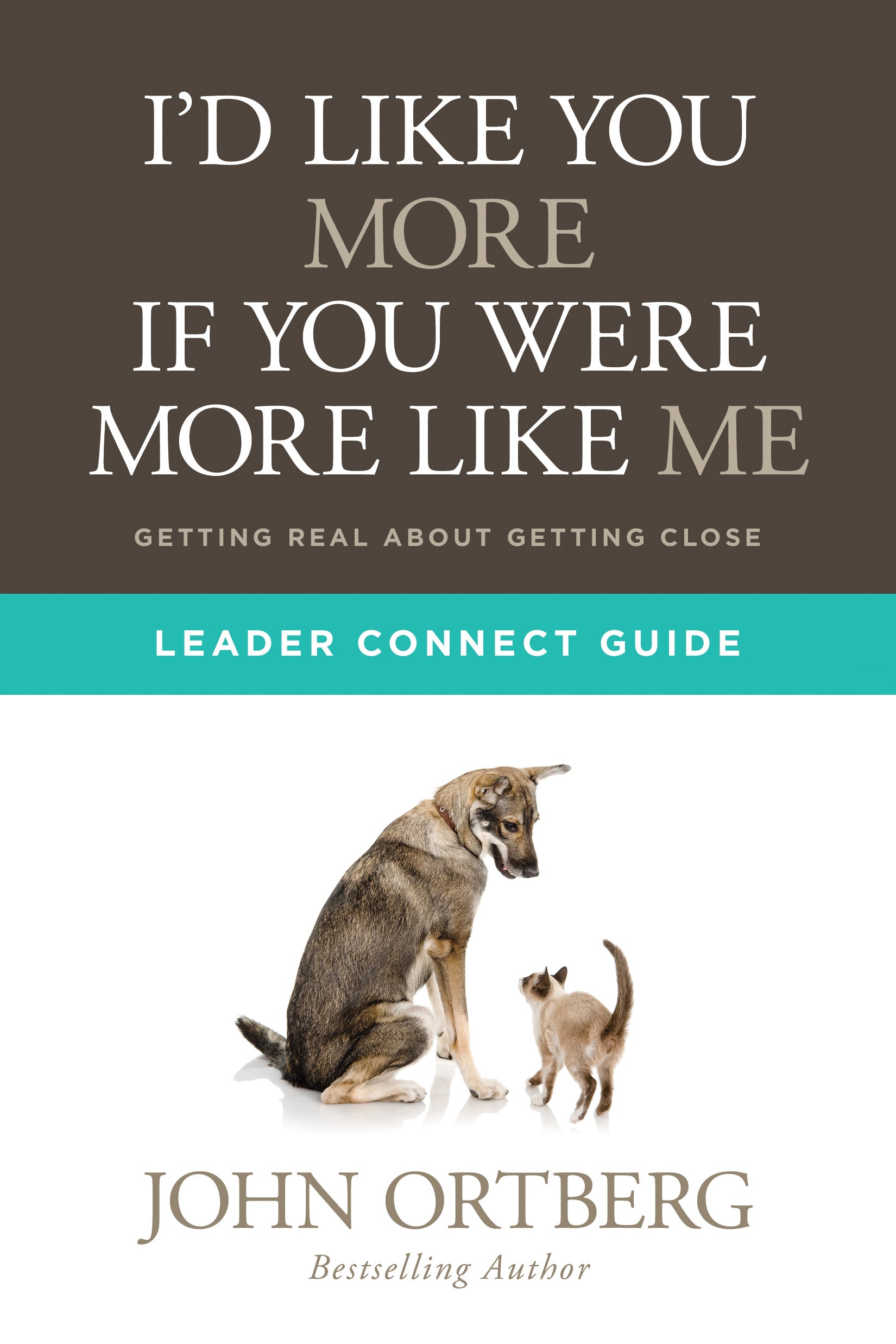 I'd Like You More If You Were More Like Me (Leader Connect Guide)