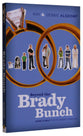 Beyond the Brady Bunch