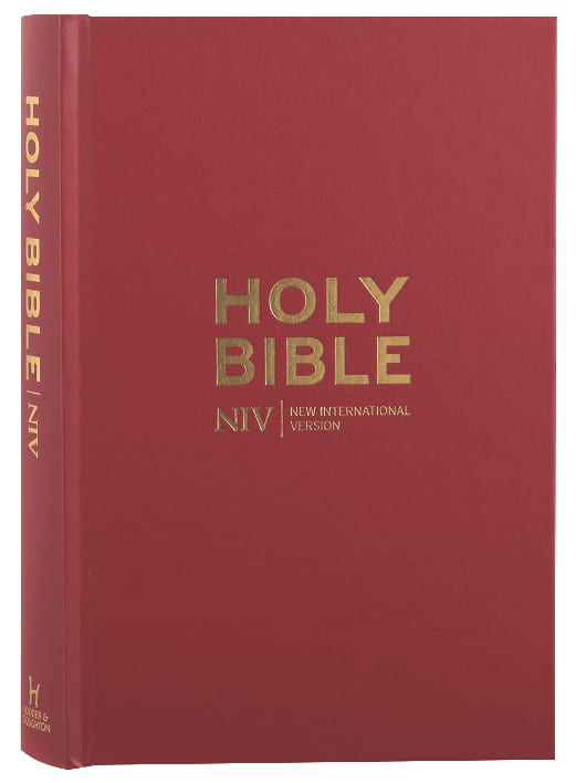 NIV Popular Burgundy Bible