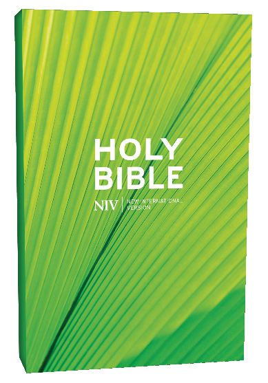 NIV Schools Bible