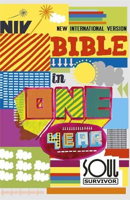NIV Soul Survivor Bible in One Year (10 Pack)