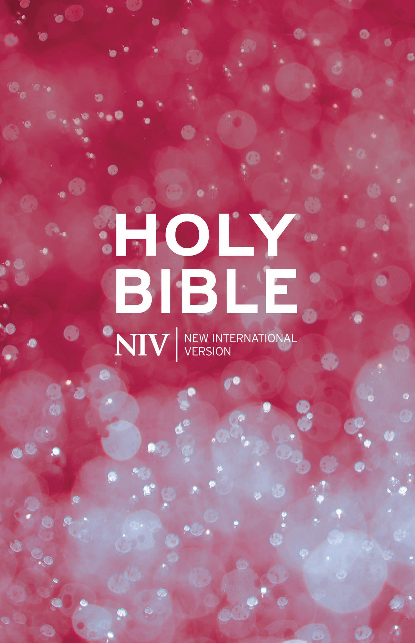 NIV Beacon Bible (10 Pack)