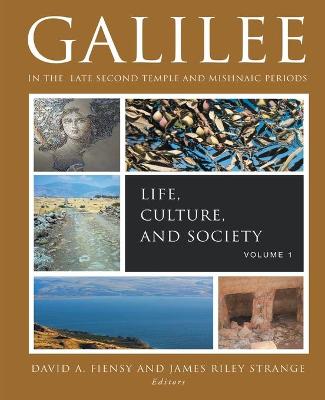 Galilee in the Late Second Temple and Mishnaic Periods: Volume 1