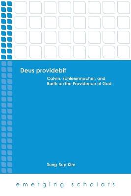 Deus Providebit - Calvin, Schleiermacher, and Barth on the Providence of God (Emerging Scholars Series)