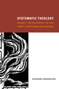 Systematic Theology: The Doctrine of the Holy Trinity: Processions and Persons (Volume 2)