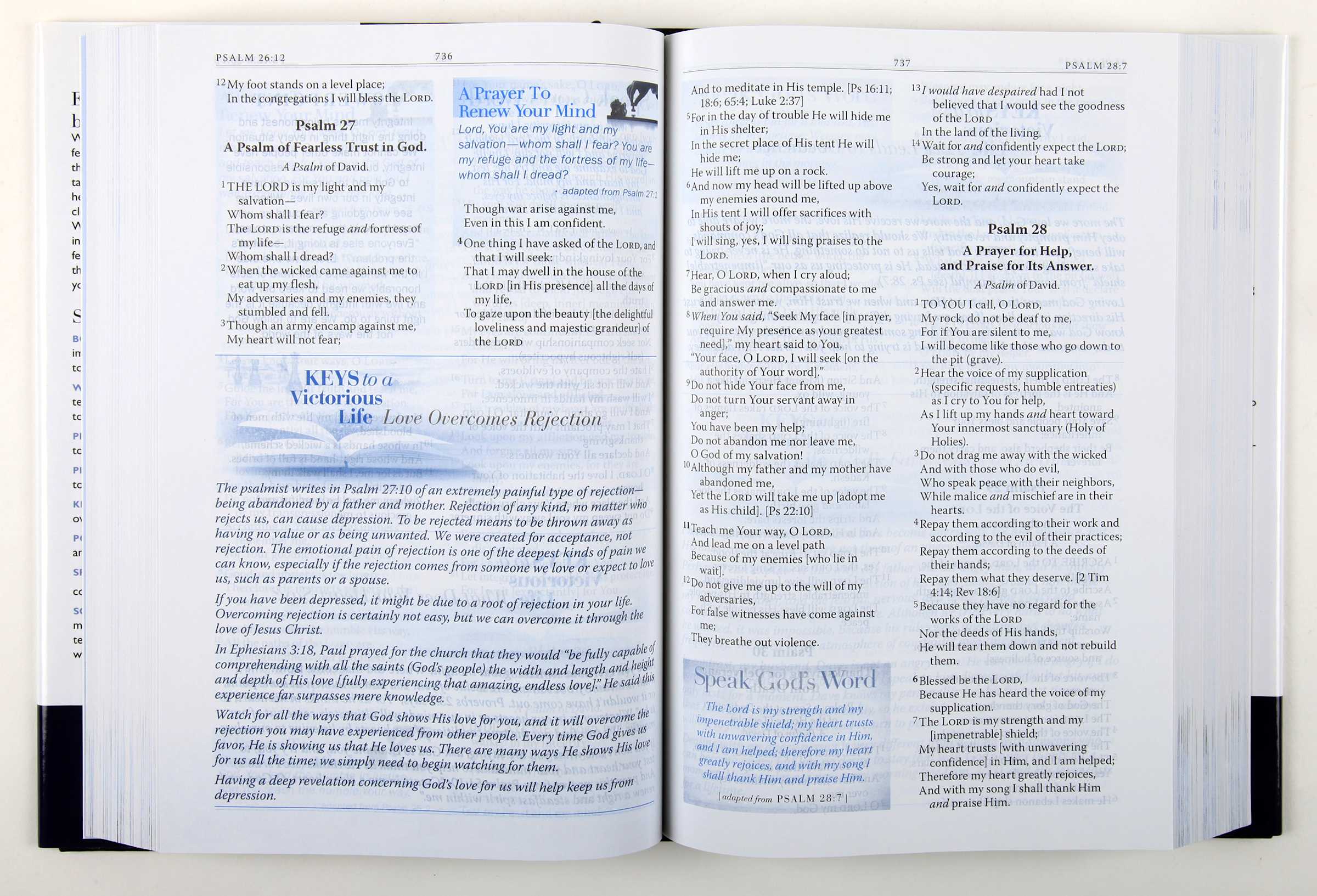 Amplified Battlefield of the Mind Bible