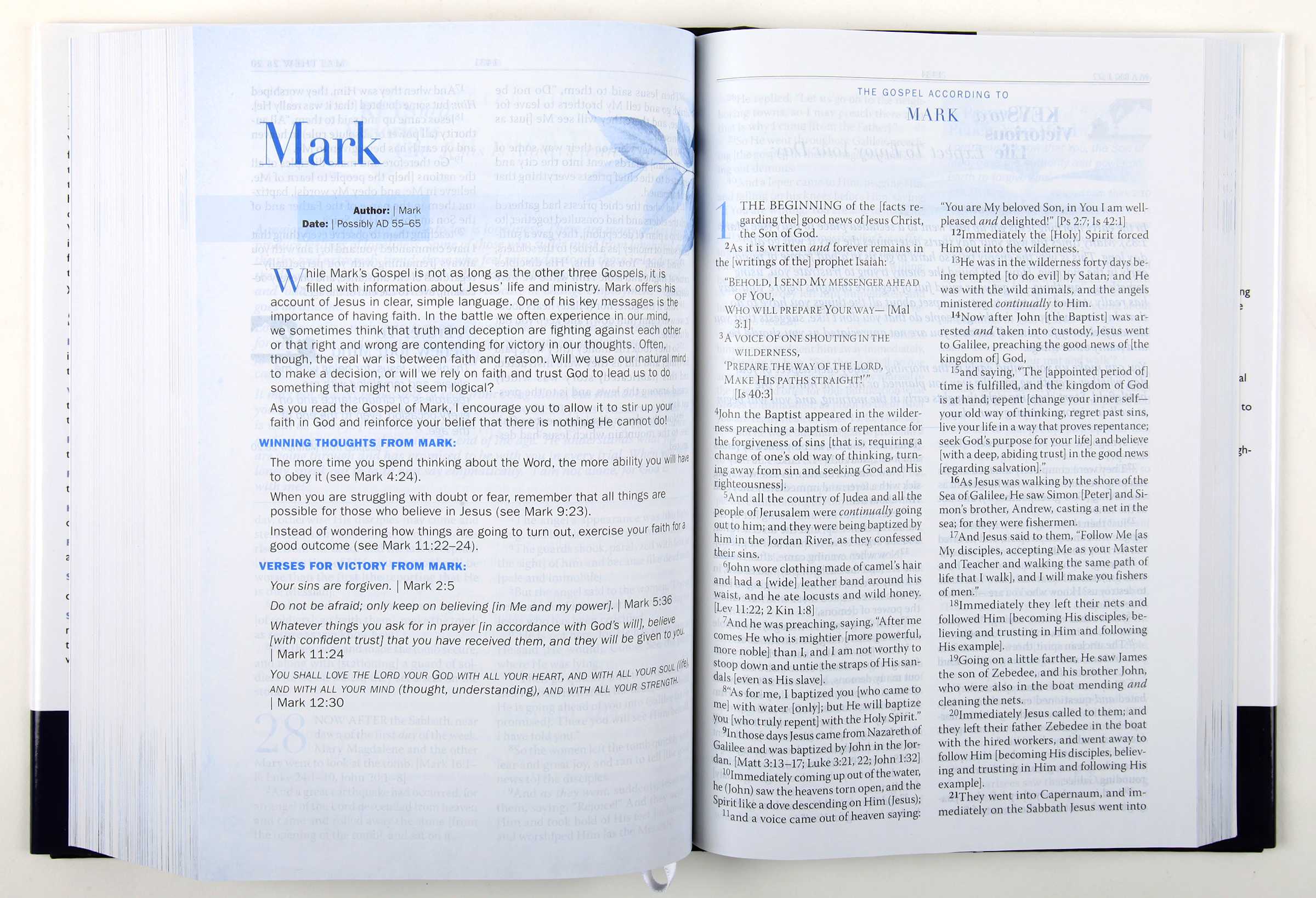 Amplified Battlefield of the Mind Bible