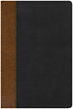 CSB Rainbow Study Bible Black/Tan