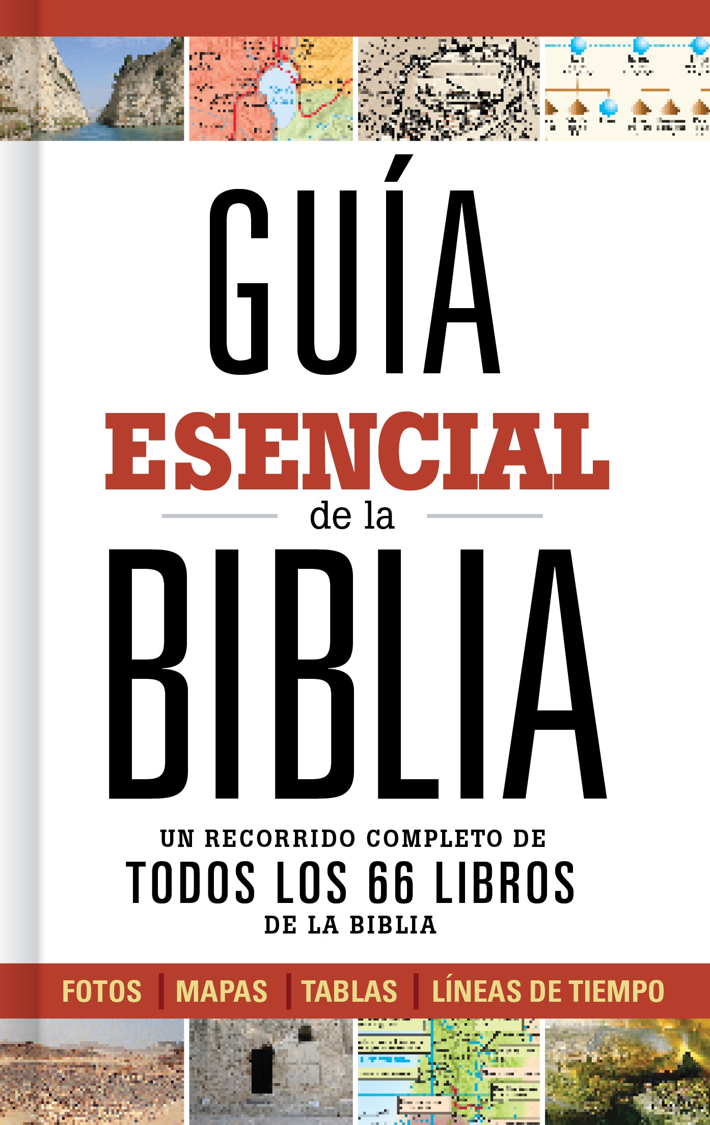 Guia Esencial De La Biblia (Spanish)
