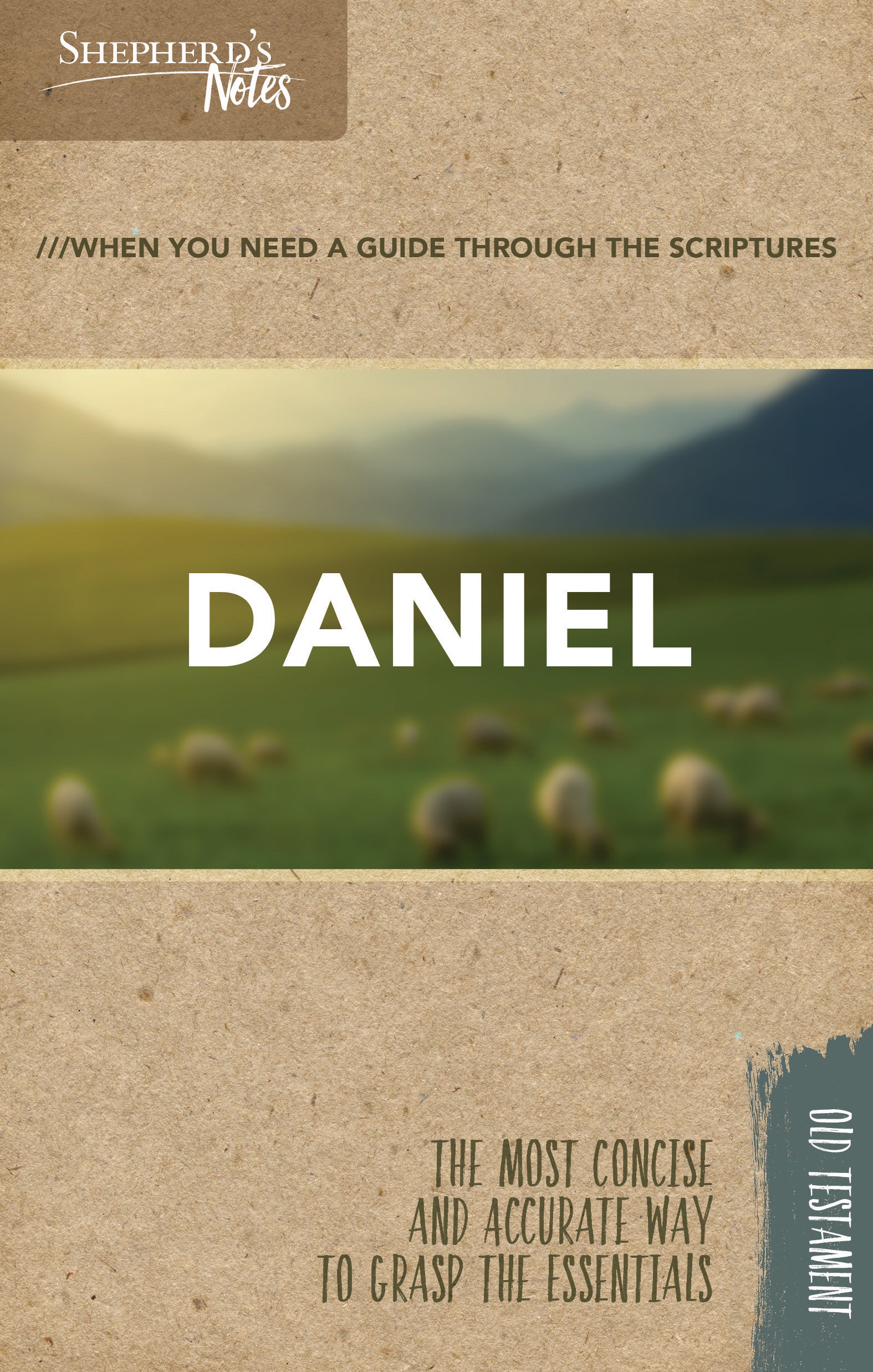 Daniel (Shepherd's Notes Bible Summary Series)