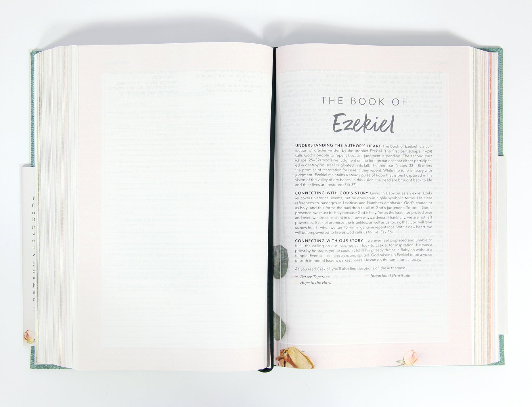 CSB (In)Courage Devotional Bible Gray (Black Letter Edition)