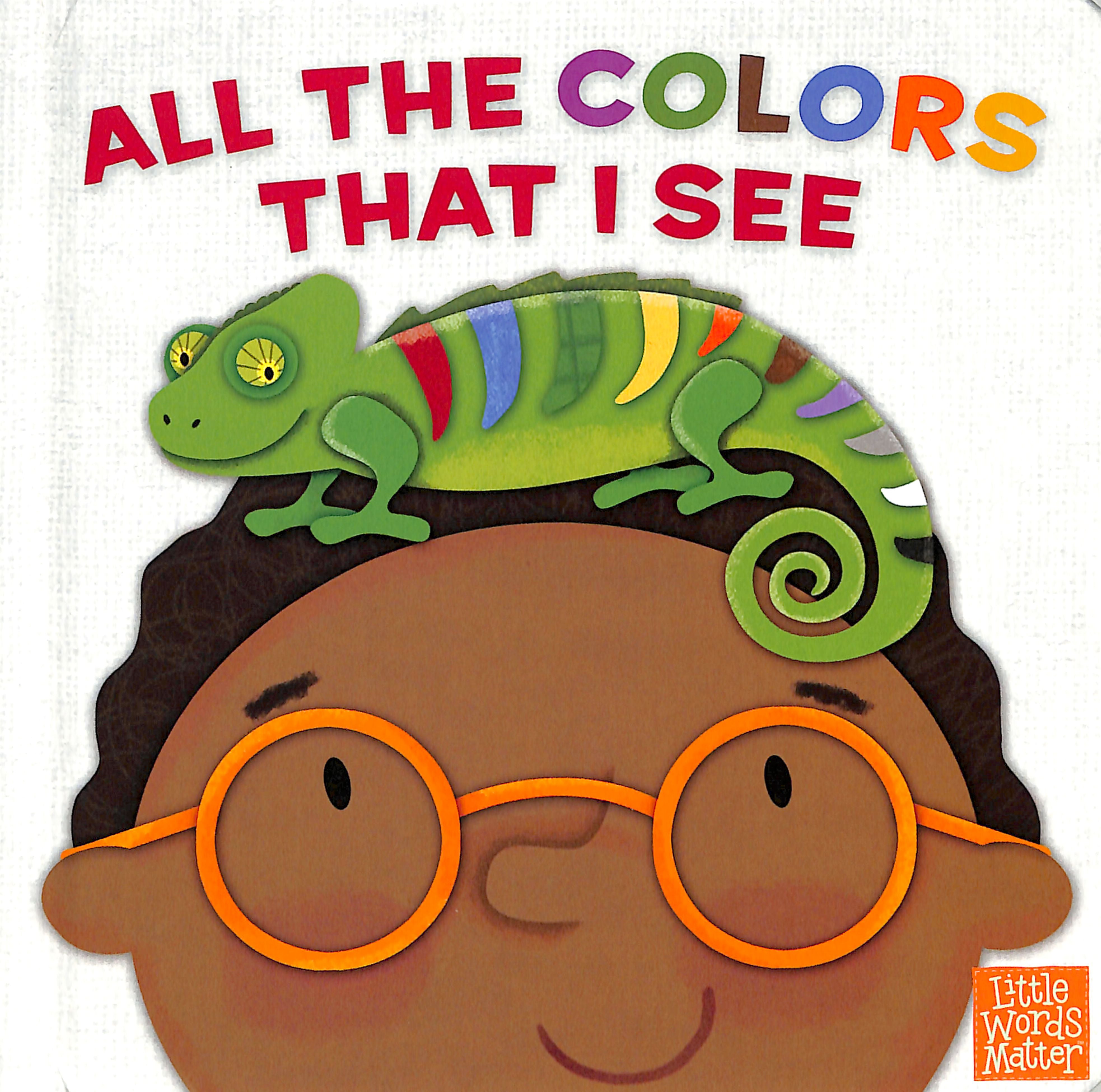 All the Colors That I See (Little Words Matter Series)