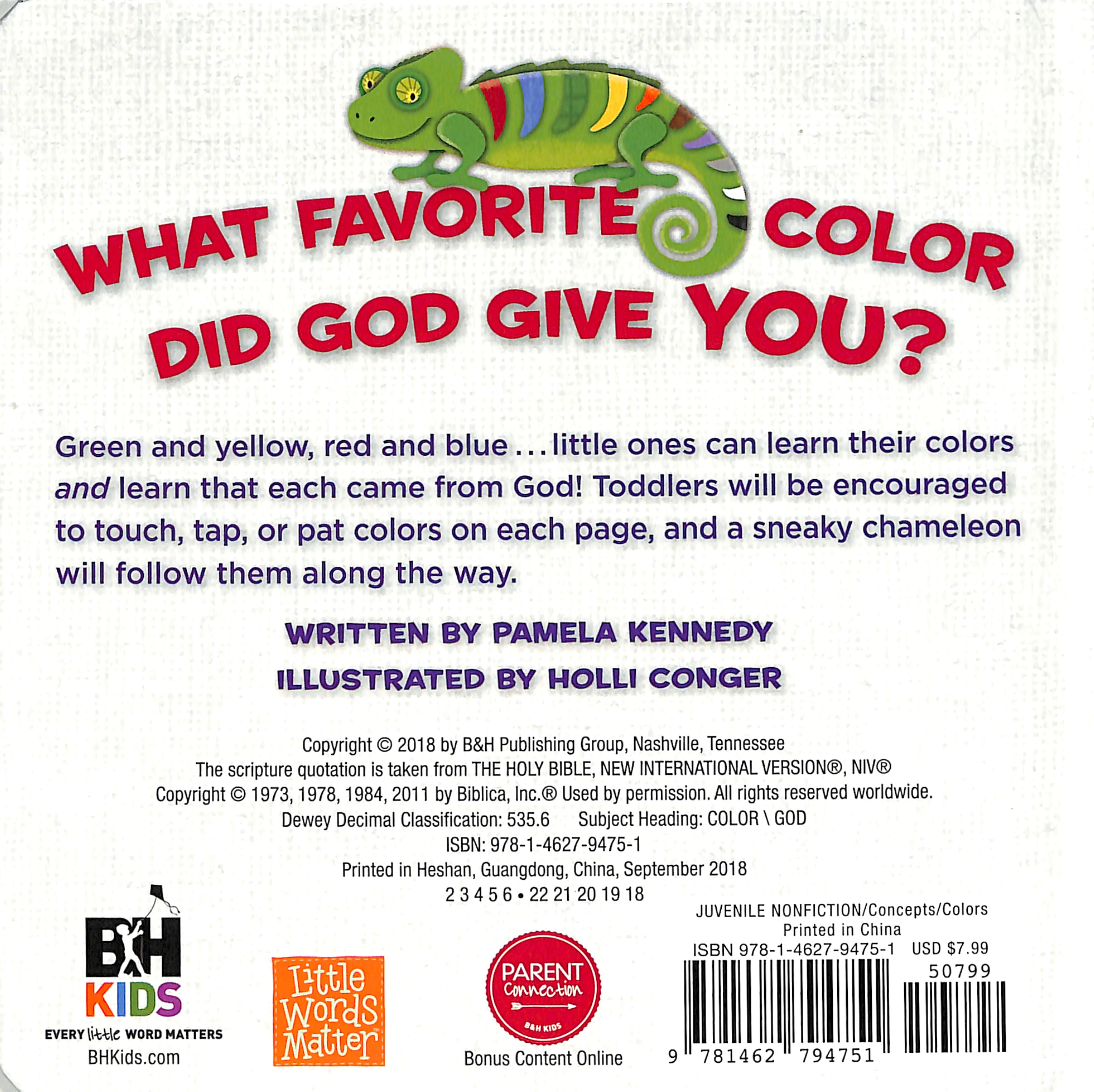 All the Colors That I See (Little Words Matter Series)