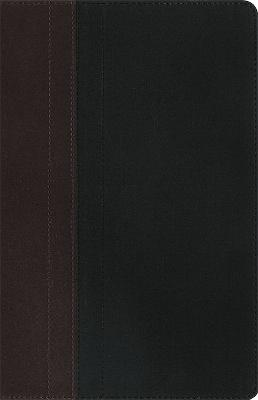 NIV Study Bible Chocolate/Black Duo-Tone Personal Size