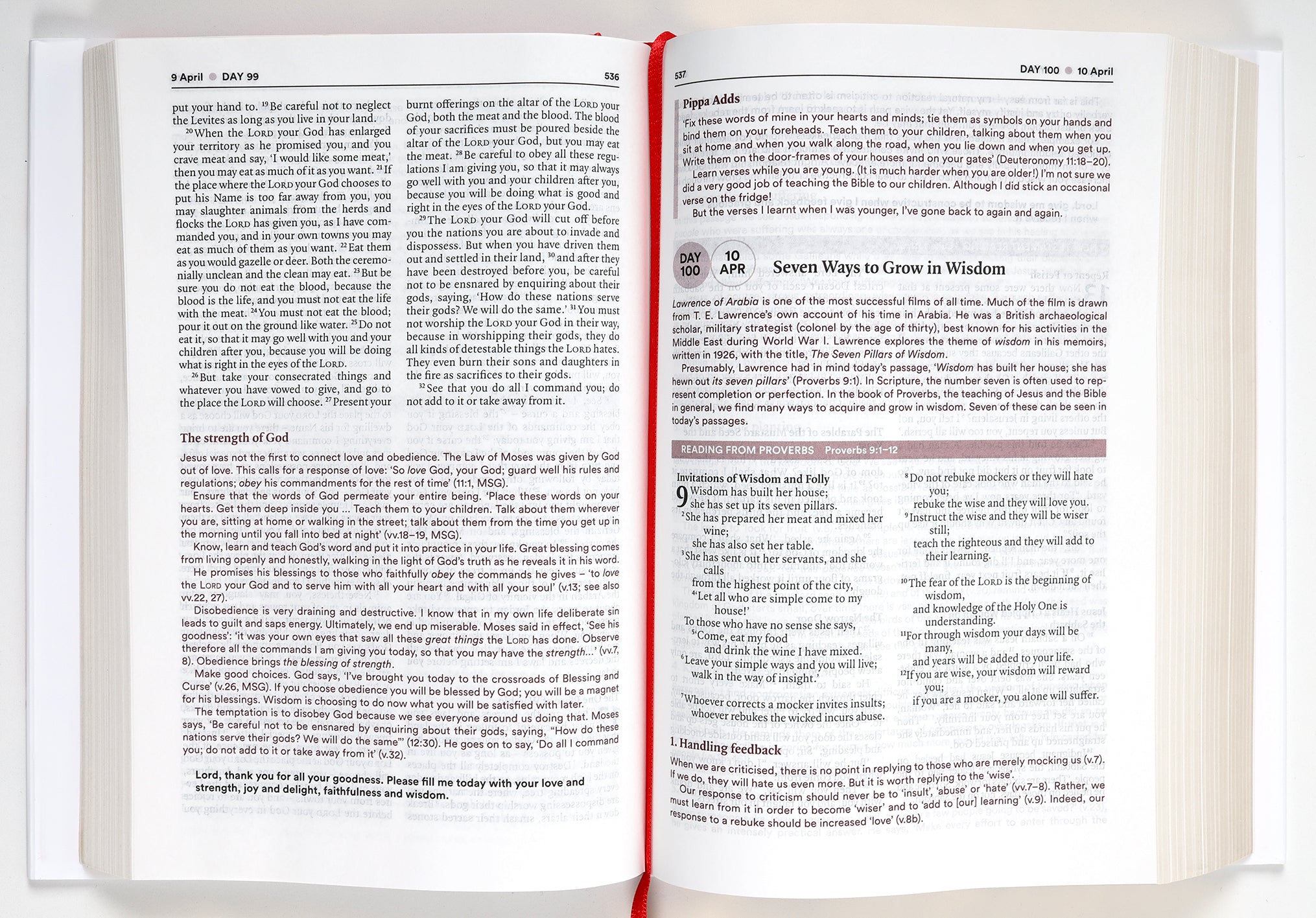 NIV Bible in One Year With Daily Commentary