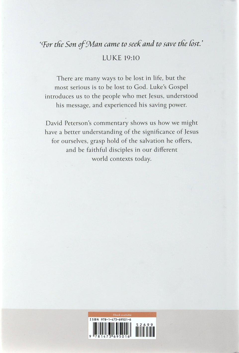 Luke (The Hodder Bible Commentary Series)