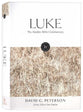 Luke (The Hodder Bible Commentary Series)