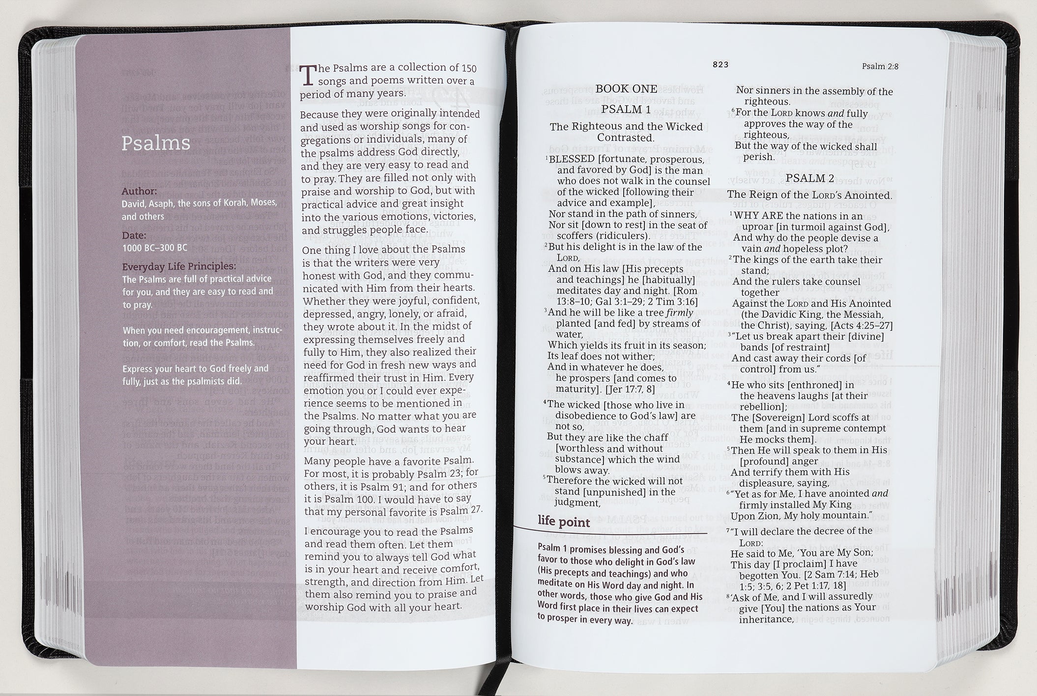 Amplified The Everyday Life Bible Black