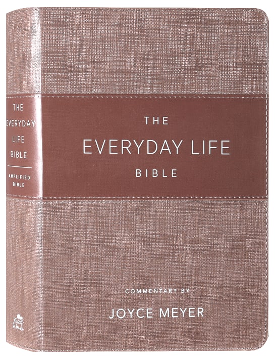 Amplified The Everyday Life Bible Blush